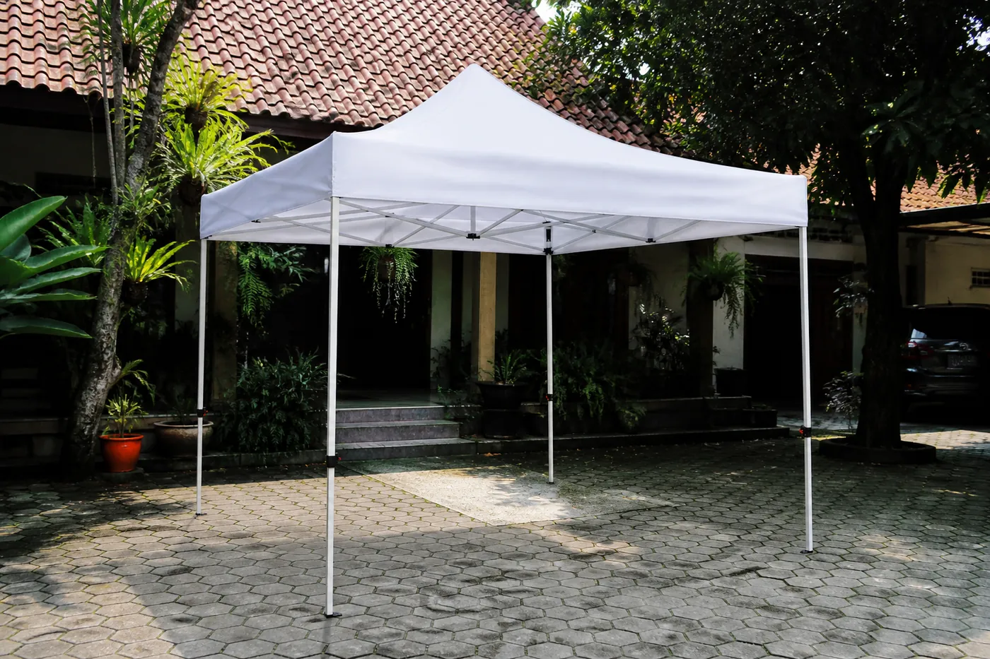 White square pop-up canopy on hexagonal courtyard pavers, with tropical plants and a tiled-roof house behind it.