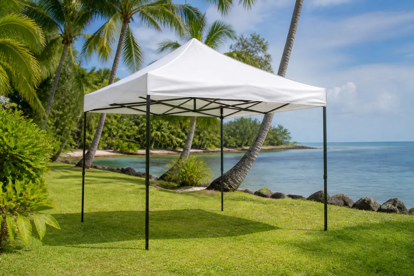 White square pop-up canopy on a tropical coastal lawn beside a rocky shoreline and a palm-lined bay.